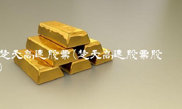楚天高速股票(楚天高速股票股吧)