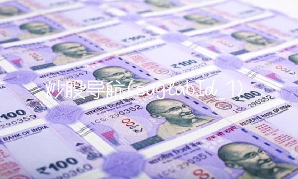 炒股导航(suglabId_1)(2)