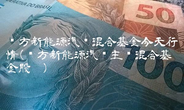 东方新能源汽车混合基金今天行情(东方新能源汽车主题混合基金股吧)