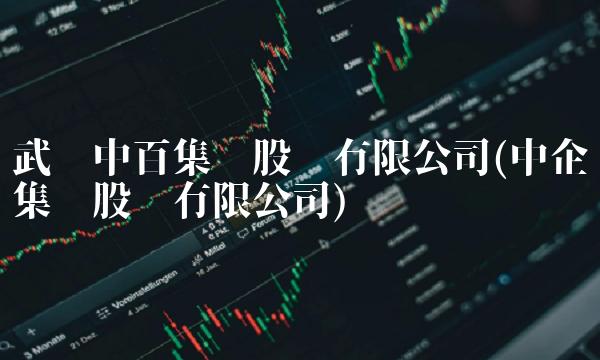 武汉中百集团股份有限公司(中企集团股份有限公司)