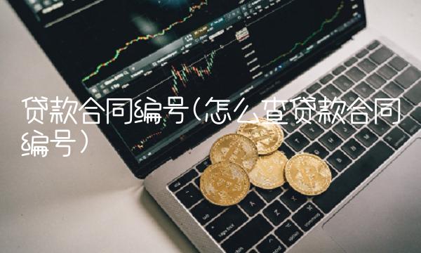 贷款合同编号(怎么查贷款合同编号)