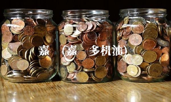 嘉实(嘉实多机油)