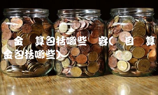资金预算包括哪些内容(项目预算资金包括哪些)