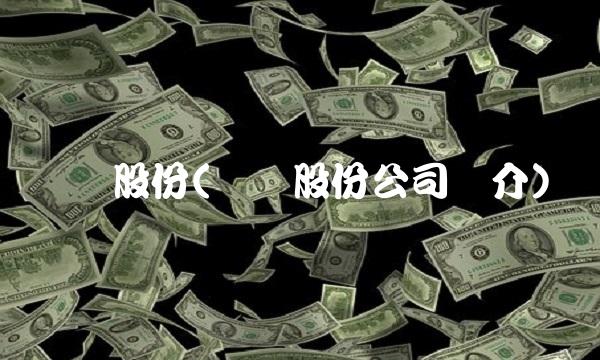 赛腾股份(赛腾股份公司简介)