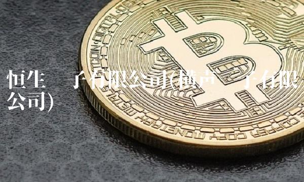 恒生电子有限公司(横声电子有限公司)