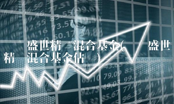 银华盛世精选混合基金(银华盛世精选混合基金估值)