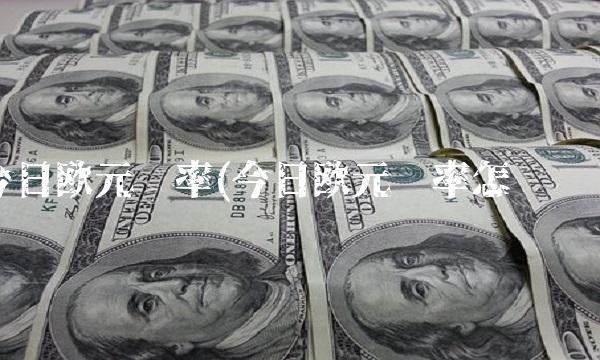今日欧元汇率(今日欧元汇率怎么样)