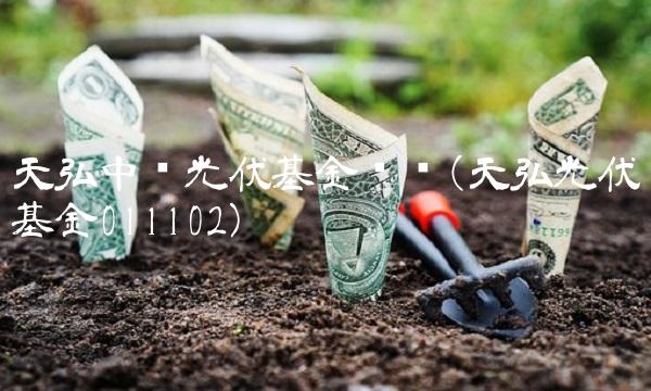 天弘中证光伏基金净值(天弘光伏基金011102)