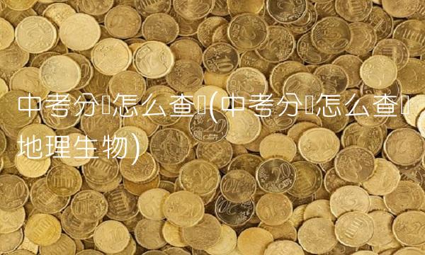中考分数怎么查询(中考分数怎么查询地理生物)
