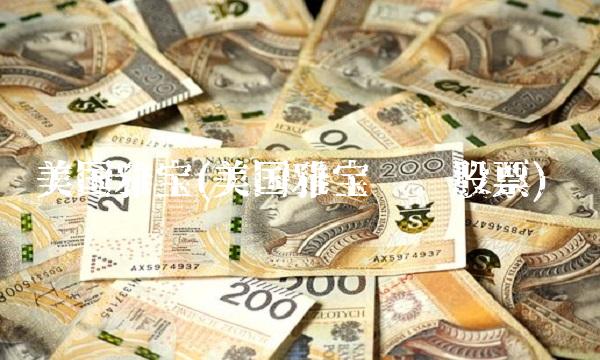 美国雅宝(美国雅宝锂业股票)