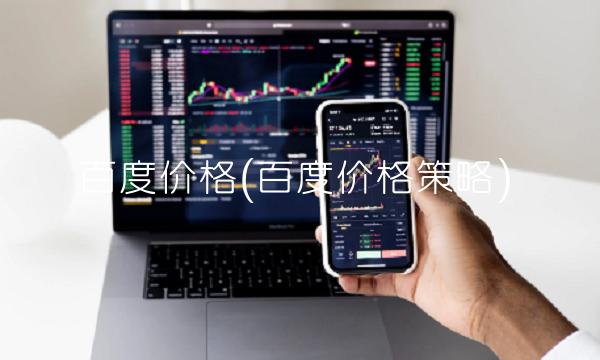 百度价格(百度价格策略)