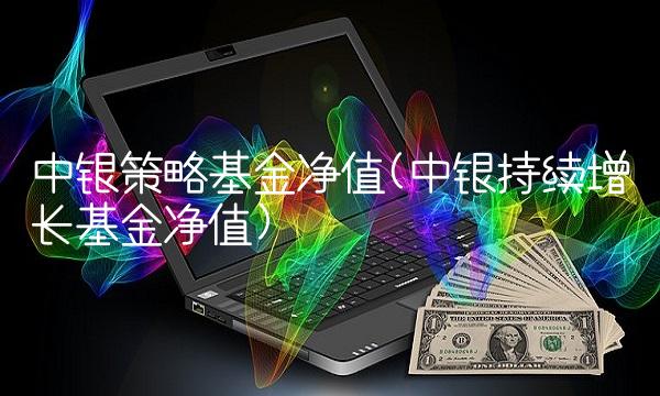 中银策略基金净值(中银持续增长基金净值)