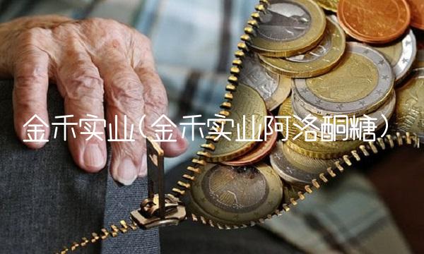 金禾实业(金禾实业阿洛酮糖)