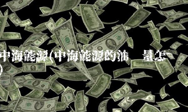中海能源(中海能源的油质量怎样)