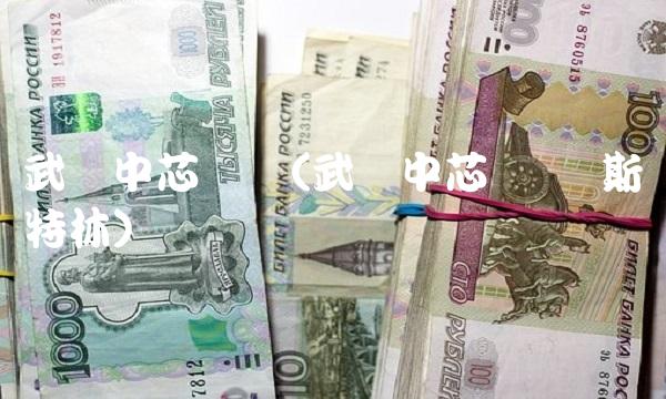 武汉中芯国际(武汉中芯国际+斯特林)