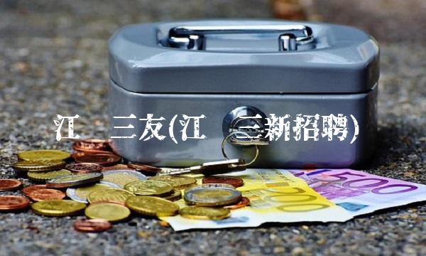江苏三友(江苏三新招聘)