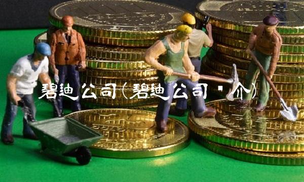 碧迪公司(碧迪公司简介)(1)