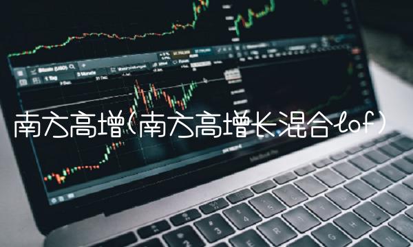 南方高增(南方高增长混合lof)