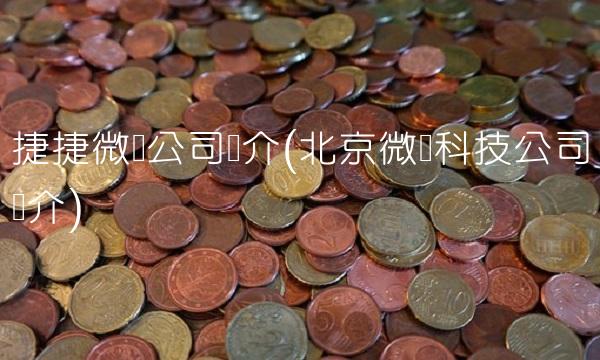 捷捷微电公司简介(北京微电科技公司简介)
