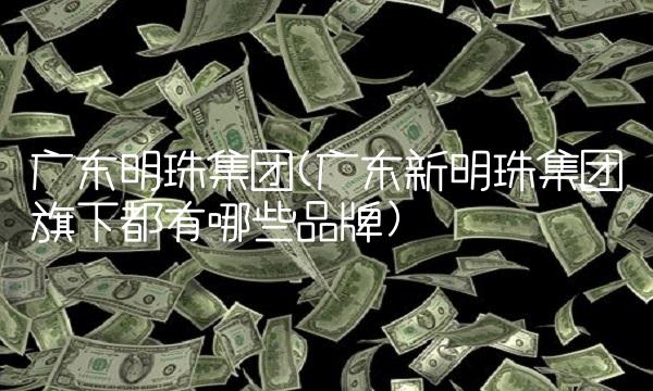 广东明珠集团(广东新明珠集团旗下都有哪些品牌)