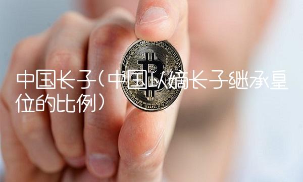 中国长子(中国以嫡长子继承皇位的比例)