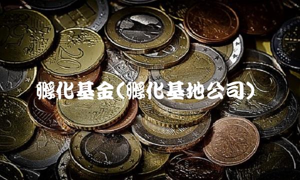 孵化基金(孵化基地公司)(1)