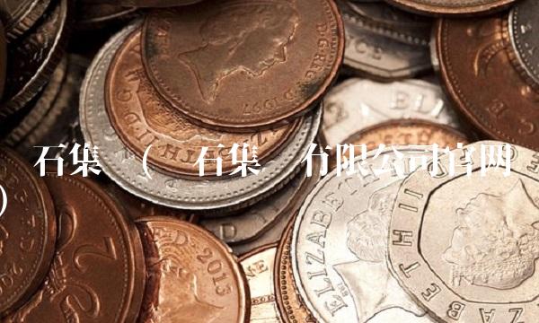 兰石集团(兰石集团有限公司官网)