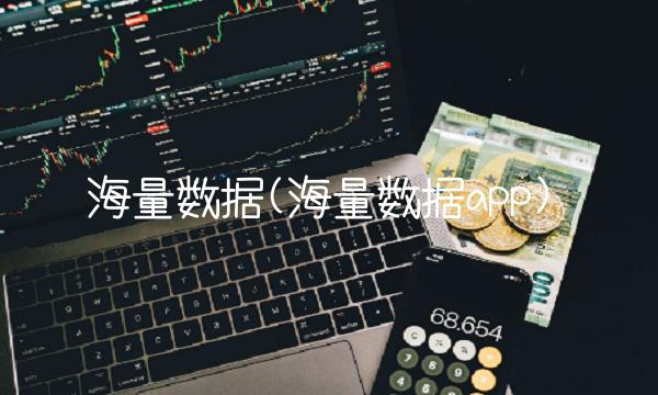 海量数据(海量数据app)