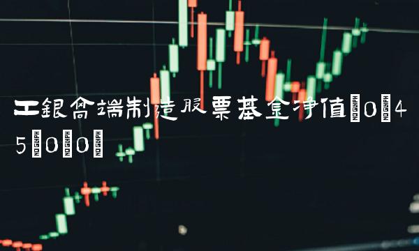 工银高端制造股票基金净值(0;45;0;0)(1)