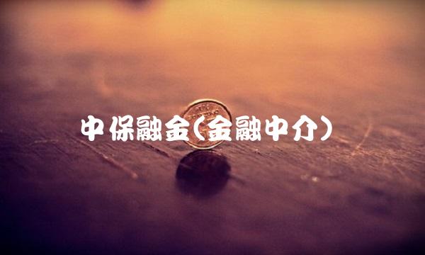 中保融金(金融中介)(2)