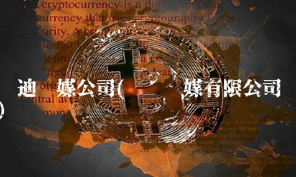 赛迪传媒公司(赛卫传媒有限公司)