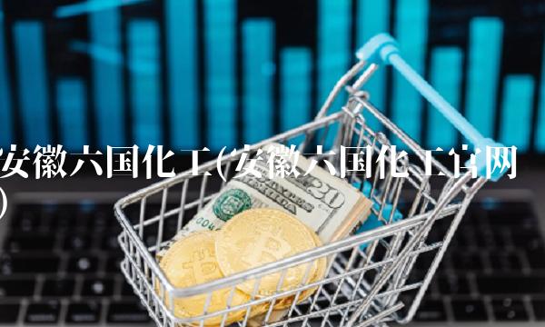 安徽六国化工(安徽六国化工官网)