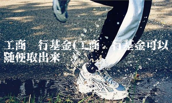 工商银行基金(工商银行基金可以随便取出来吗)