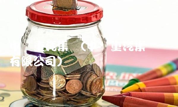中国重汽集团(中国重汽集团国际有限公司)(1)