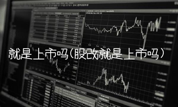 就是上市吗(股改就是上市吗)