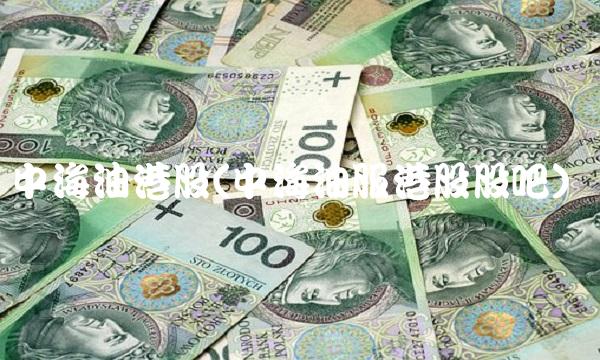 中海油港股(中海油服港股股吧)