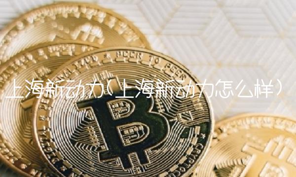 上海新动力(上海新动力怎么样)