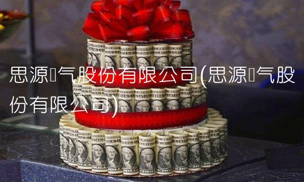 思源电气股份有限公司(思源电气股份有限公司)