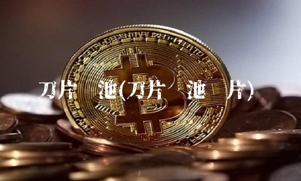 刀片电池(刀片电池图片)