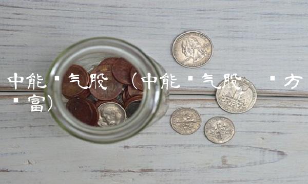 中能电气股吧(中能电气股吧东方财富)