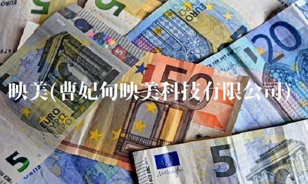 映美(曹妃甸映美科技有限公司)