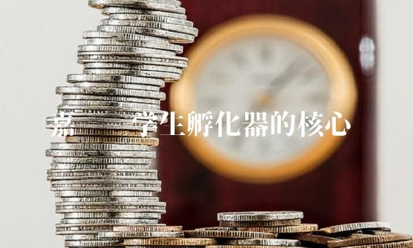 嘉应——学生孵化器的核心