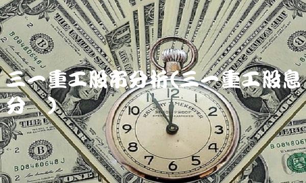 三一重工股市分析(三一重工股息分红)