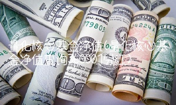 量化核心基金净值(量化核心基金净值查询360001分红)