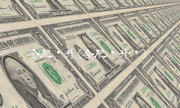 合肥华升(合肥华升贝)