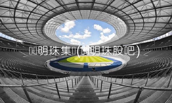 广东明珠集团(广东明珠股吧)