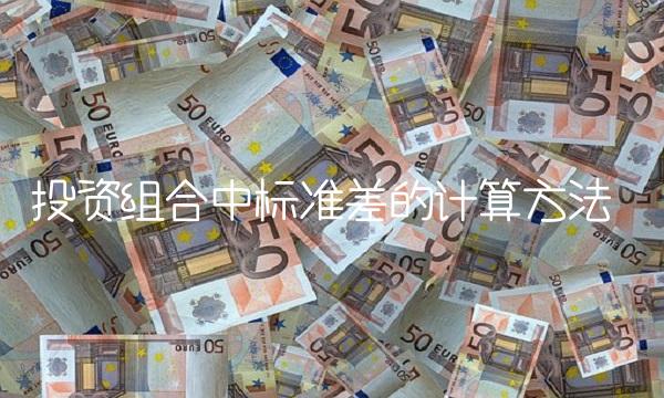 投资组合中标准差的计算方法