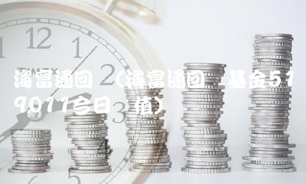 海富通回报(海富通回报基金519011今日净值)(1)