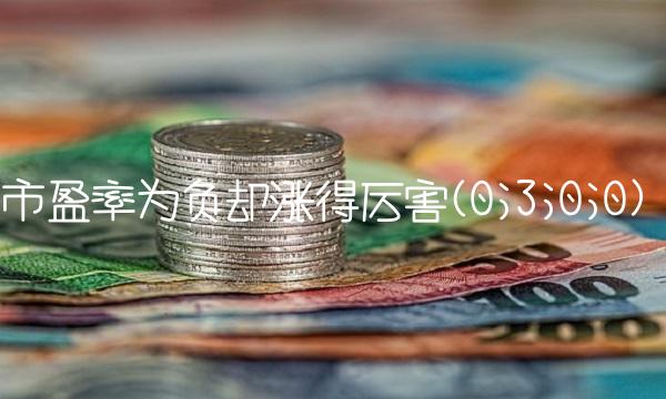 市盈率为负却涨得厉害(0;3;0;0)