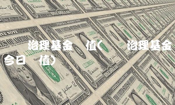 鹏华治理基金净值(鹏华治理基金今日净值)(2)